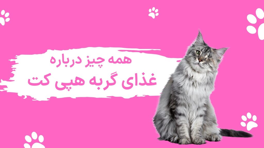 هپی کت