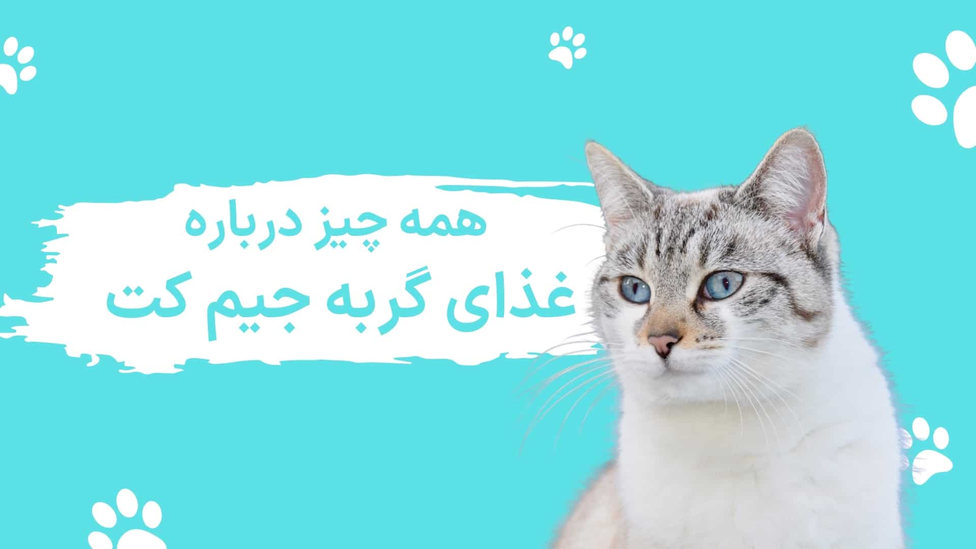جیم کت
