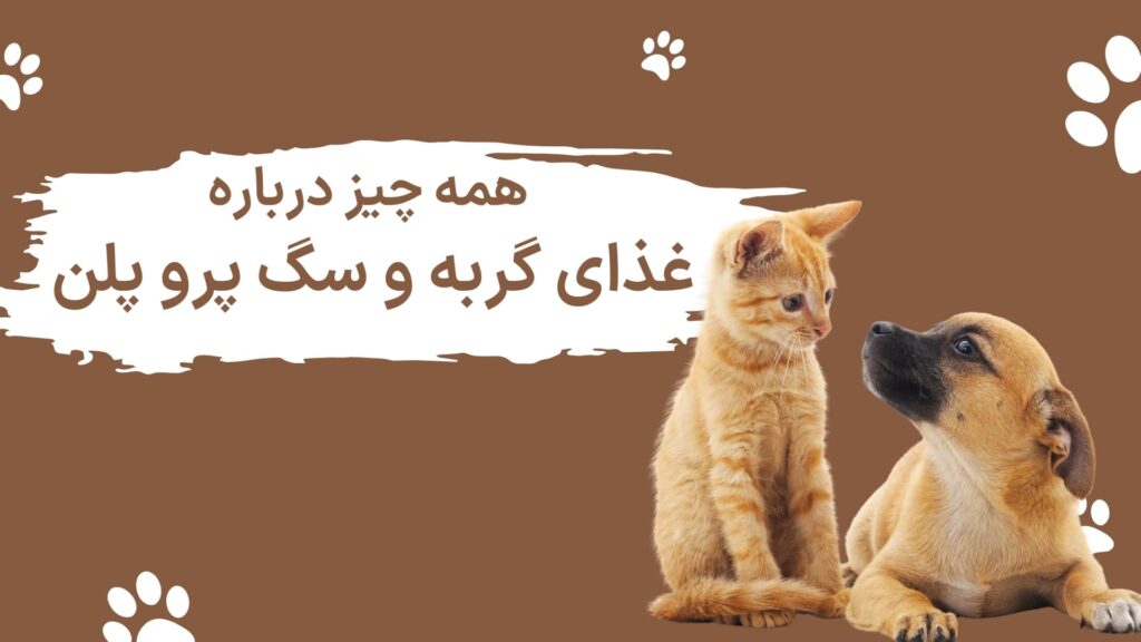 پروپلن
