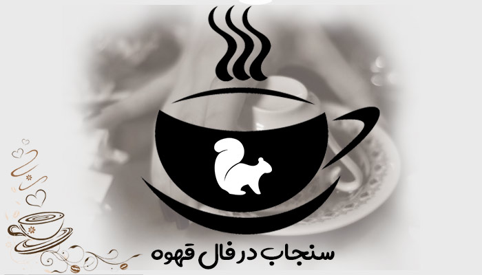 سنجاب در فال قهوه