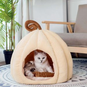 تخت خواب گربه