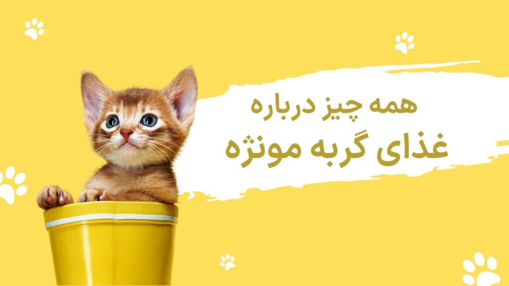 مونژه
