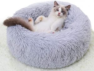 تخت خواب گربه