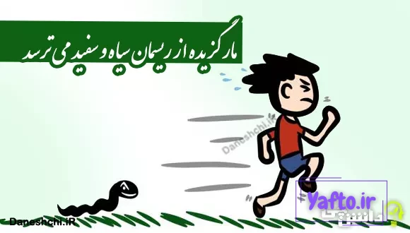 معانی ضرب المثل مار گزیده از ریسمان سیاه و سفید میترسد