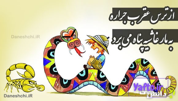 از ترس عقرب جراره به مار غاشیه پناه می برد 