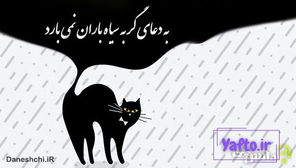 به دعای گربه سیاه باران نمیآید