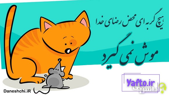 هیچ گربه ای محض رضای خدا موش نمی&zwnj; گیرد 