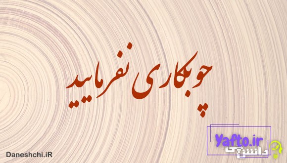 معنی ضرب المثل چوبکاری نفرمایید