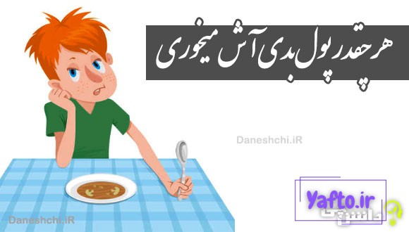هر چقدر پول بدی آش میخوری 