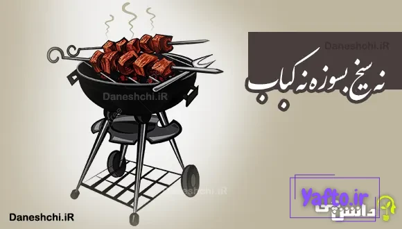 نه سیخ بسوزه نه کباب