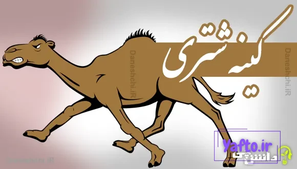 کینه شتری