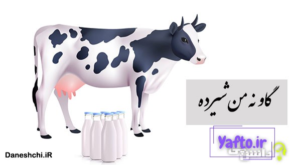 ضرب المثل گاو نه من شیرده