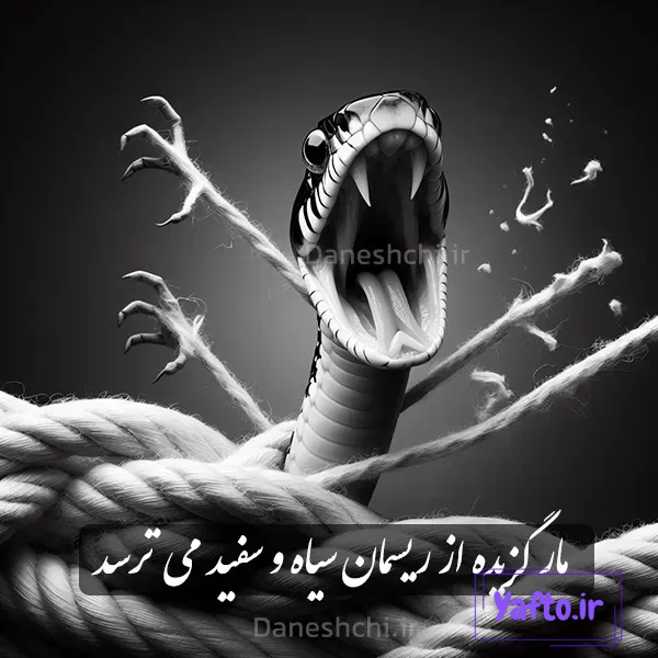 مار گزیده از ریسمان سیاه و سفید می ترسد