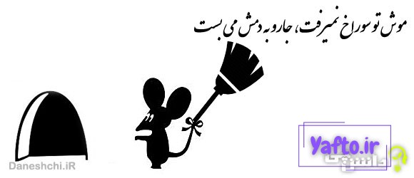 موش تو سوراخ نمیرفت، جارو به دمش می بست