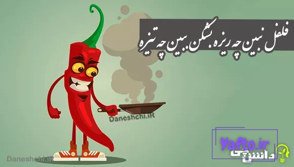 معنی فلفل نبین چه ریزه بشکن ببین چه تیزه
