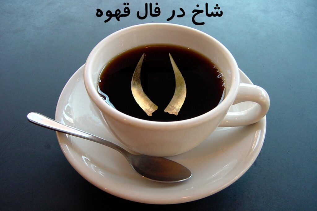 شاخ در فال قهوه