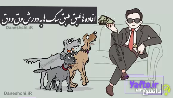 ضرب المثل افاده ها طبق طبق سگ ها به دورش وق و وق