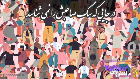 در جایی که سگ صاحبش را نمی شناسد