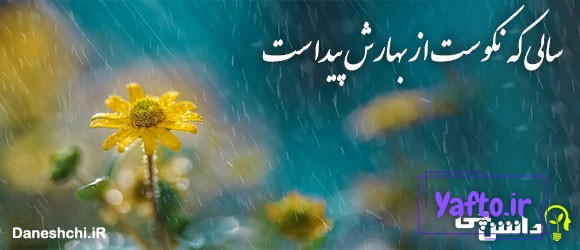 سالی که نکوست از بهارش پیداست