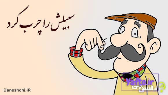 سبیلش را چرب کرد