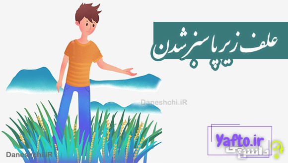 علف زیر پا سبز شدن