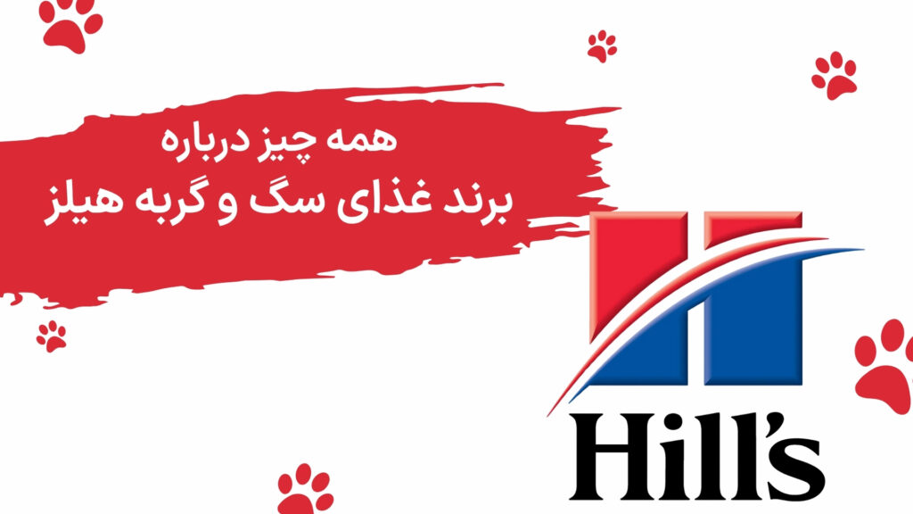 برند هیلز