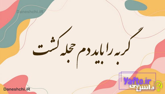 گربه را باید دم حجله کشت