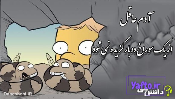 آدم عاقل از یک سوراخ دوبار گزیده نمی شود