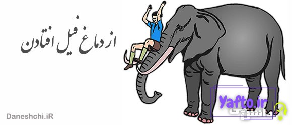 ضرب المثل از دماغ فیل افتادن