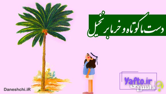 معنی دست ما کوتاه و خرما بر نخیل