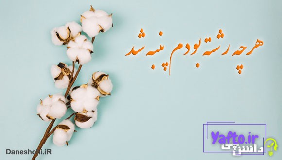 ضرب المثل هرچه رشته بودم پنبه شد