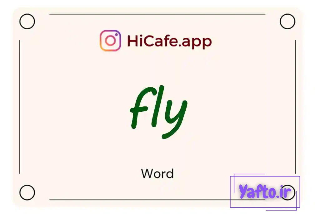 Meaning and usage of fly word