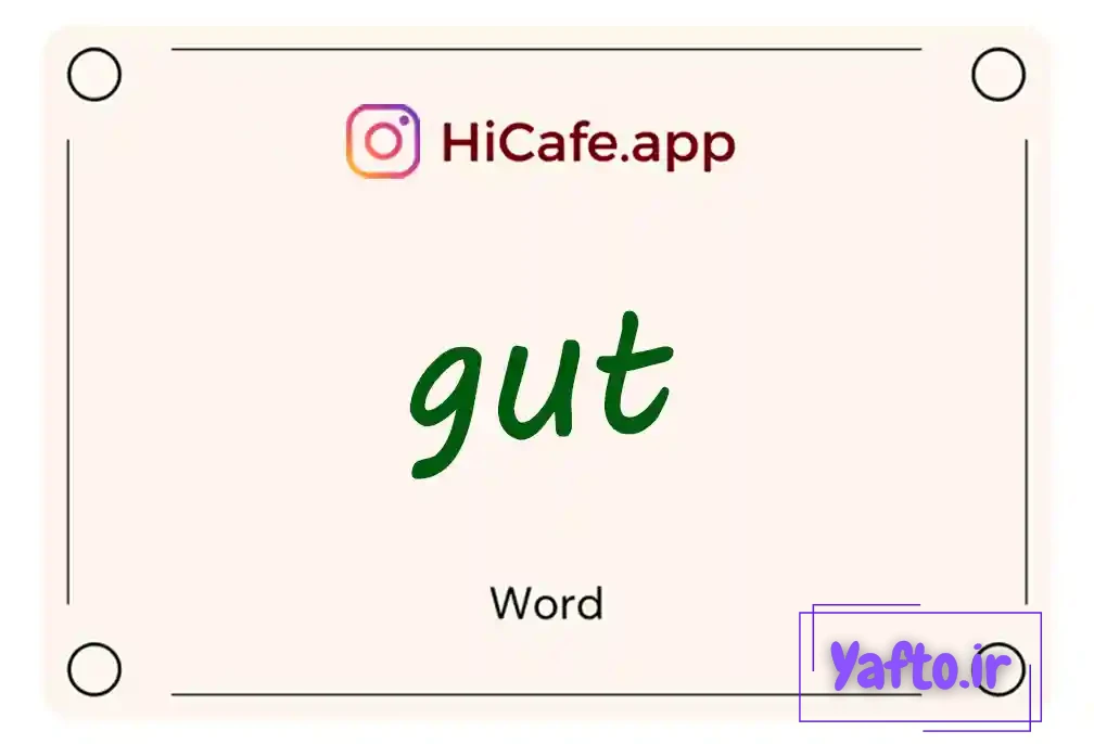 Meaning and usage of gut word