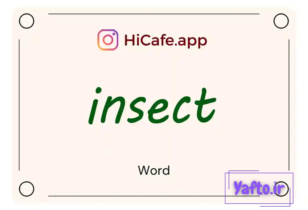 Meaning and usage of insect word