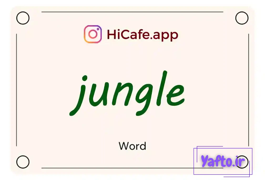 Meaning and usage of jungle word