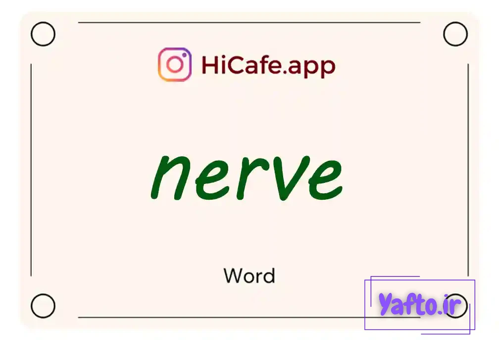 Meaning and usage of nerve word