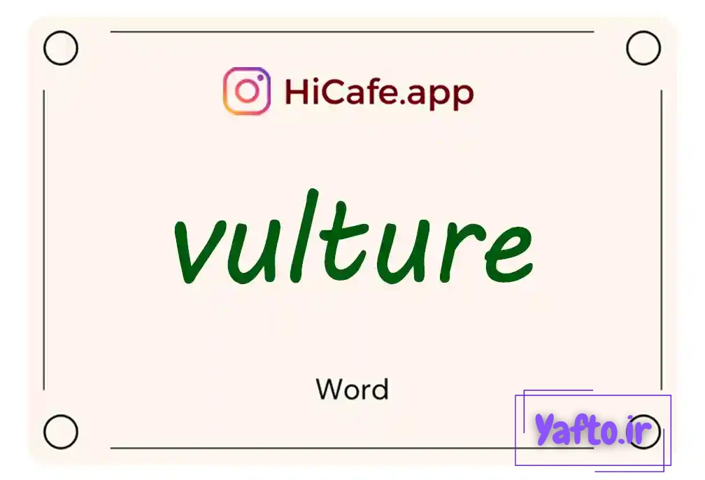 Meaning and usage of vulture word