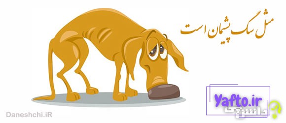مثل سگ پشیمان است
