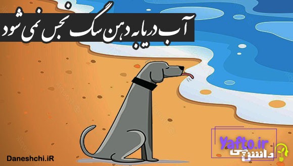 آب دریا به دهن سگ نجس نمی‌ شود