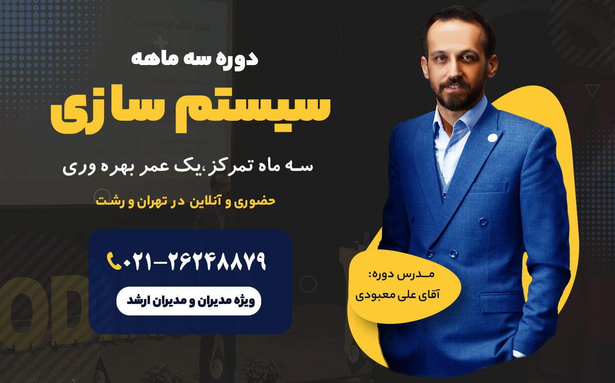 دوره سیستم سازی