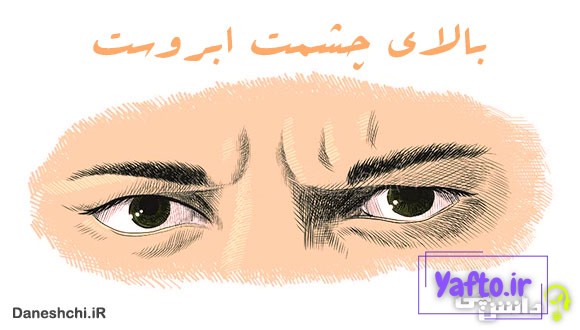 معنی بالای چشمت ابروست