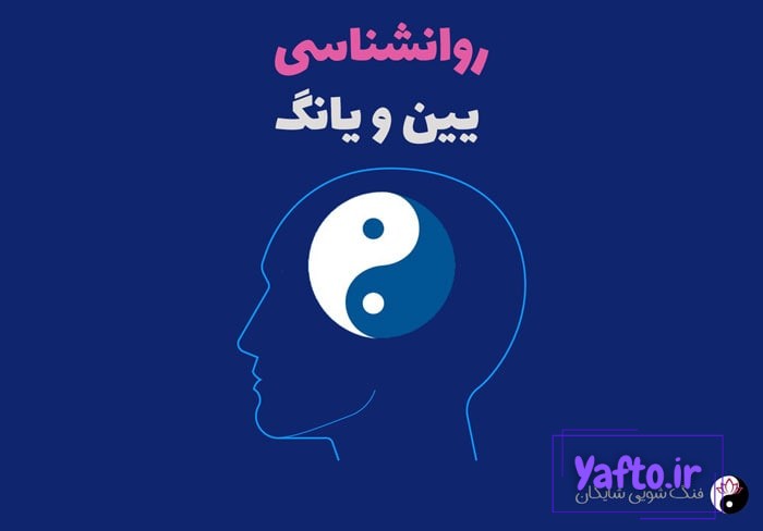 روانشناسی یین و یانگ