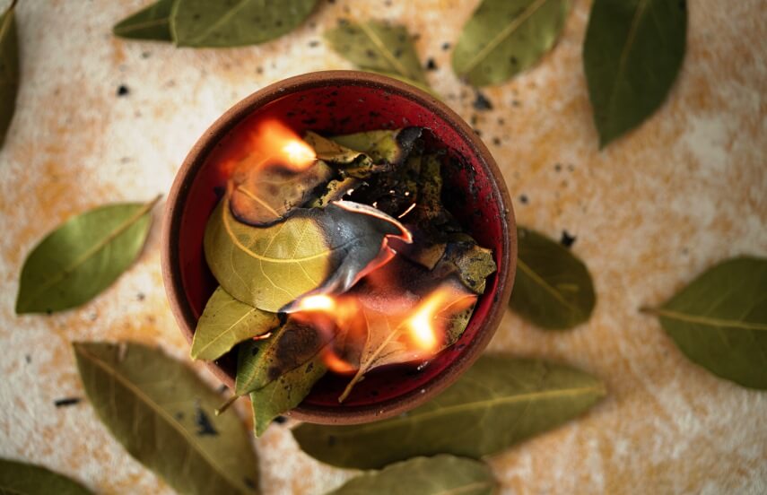 سوزاندن برگ بو برای ثروت
