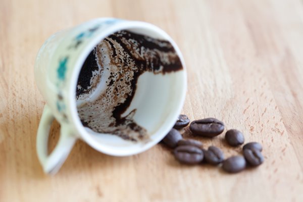 سوسک در فال قهوه