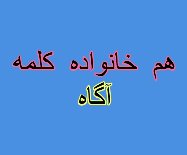 هم خانواده کلمه آگاه