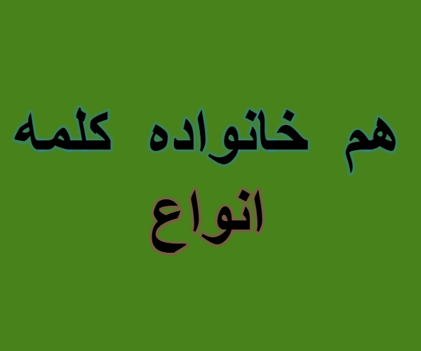 هم خانواده کلمه انواع