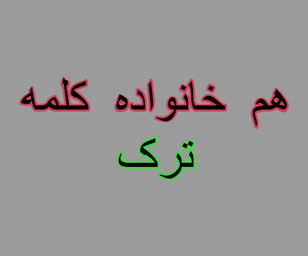 هم خانواده کلمه ترک
