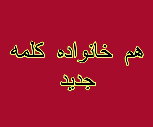 هم خانواده کلمه جدید