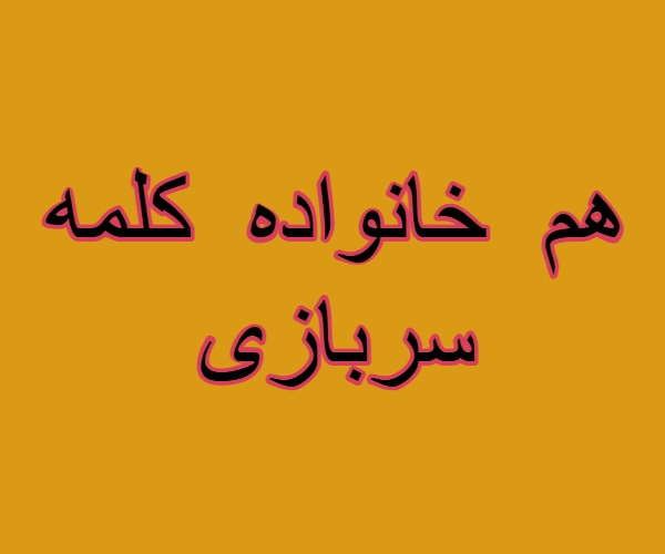 هم خانواده کلمه سربازی