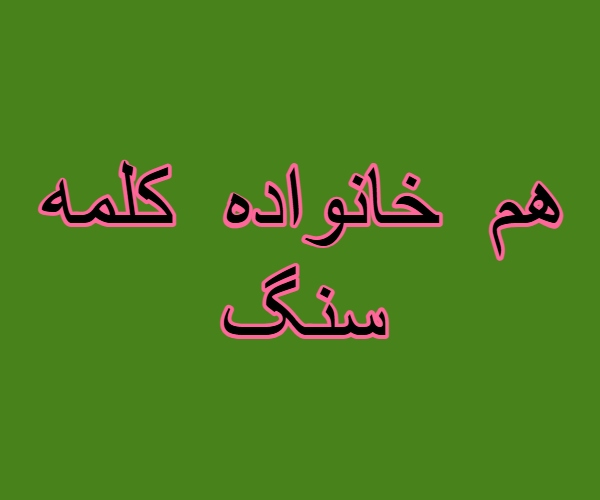 هم خانواده کلمه سنگ